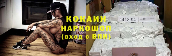 шишки Новокубанск