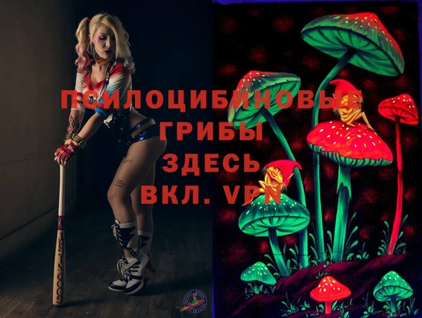 эйфоретик Новодвинск