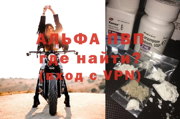 шишки Новокубанск