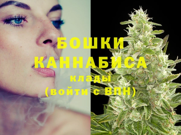 эйфоретик Новодвинск