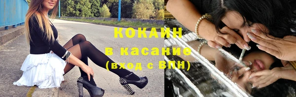 шишки Новокубанск