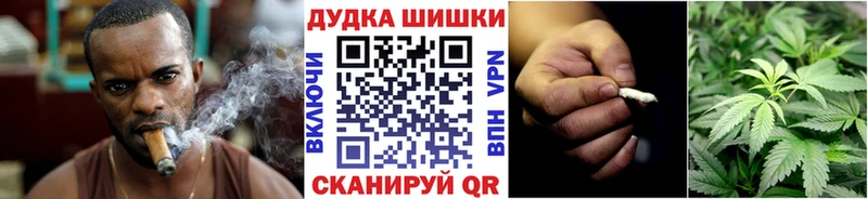 Конопля гибрид  Зеленоградск 